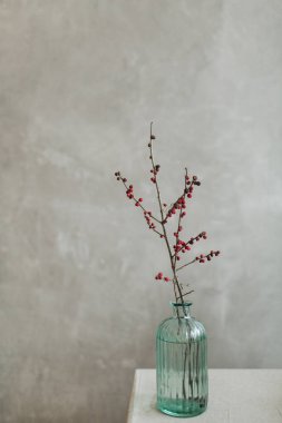 Duvarın önünde cam vazoda kırmızı böğürtlen dalı var. Modern iç tasarım kavramı.