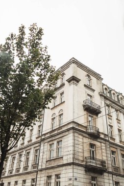 Budapeşte, Macaristan 2019. Macaristan 'ın tarihi Budapeşte şehrinde inşa ediliyor. Mimari şehir seyahati konsepti. Ön görünüm. 