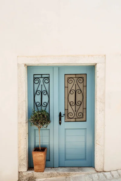 典型的欧洲房子 古老的蓝色雕刻门 白色的墙 绿色的植物在正方形的陶罐 — 图库照片