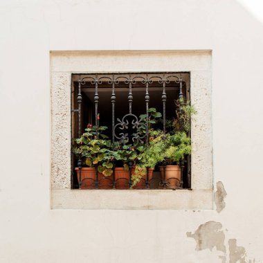 Asgari mimari konsepti. Demirden yapılmış küçük kare pencere ve beyaz bina üzerinde yeşil bitkiler olan kil kaplar. Ön görünüm. 