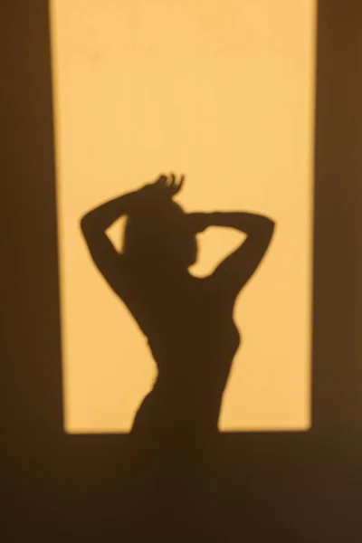 Sexy pretty woman shadow on the wall