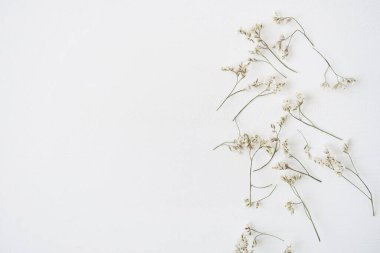 Beyaz arka planda beyaz çiçekler. Düz yerde, çiçeklerle süslenmiş bayram kompozisyonu. Düğün, Sevgililer Günü, Anneler Günü.