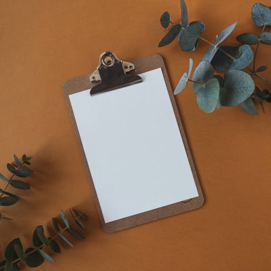 Sahte kopya alanı olan boş kağıt yaprak pano bloknotu, koyu turuncu arka planda okaliptüs dalı. Düz konum, üst görünüm minimal iş şablonu