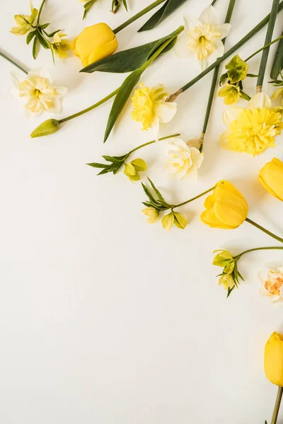 Желтый Нарцисс Цветы Тюльпана Белом Фоне Плоский Вид Сверху Цветочный — стоковое фото