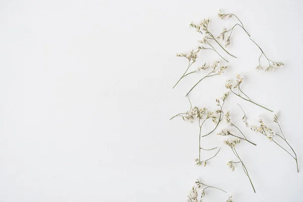 Λευκά Λουλούδια Λευκό Φόντο Επίπεδη Lay Top View Floral Εορταστική — Φωτογραφία Αρχείου