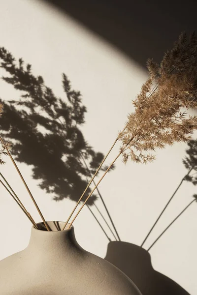 スタイリッシュな花瓶にドライパンパス草 リード 壁に影がある 太陽の光の中でシルエット ミニマルな内装コンセプト — ストック写真