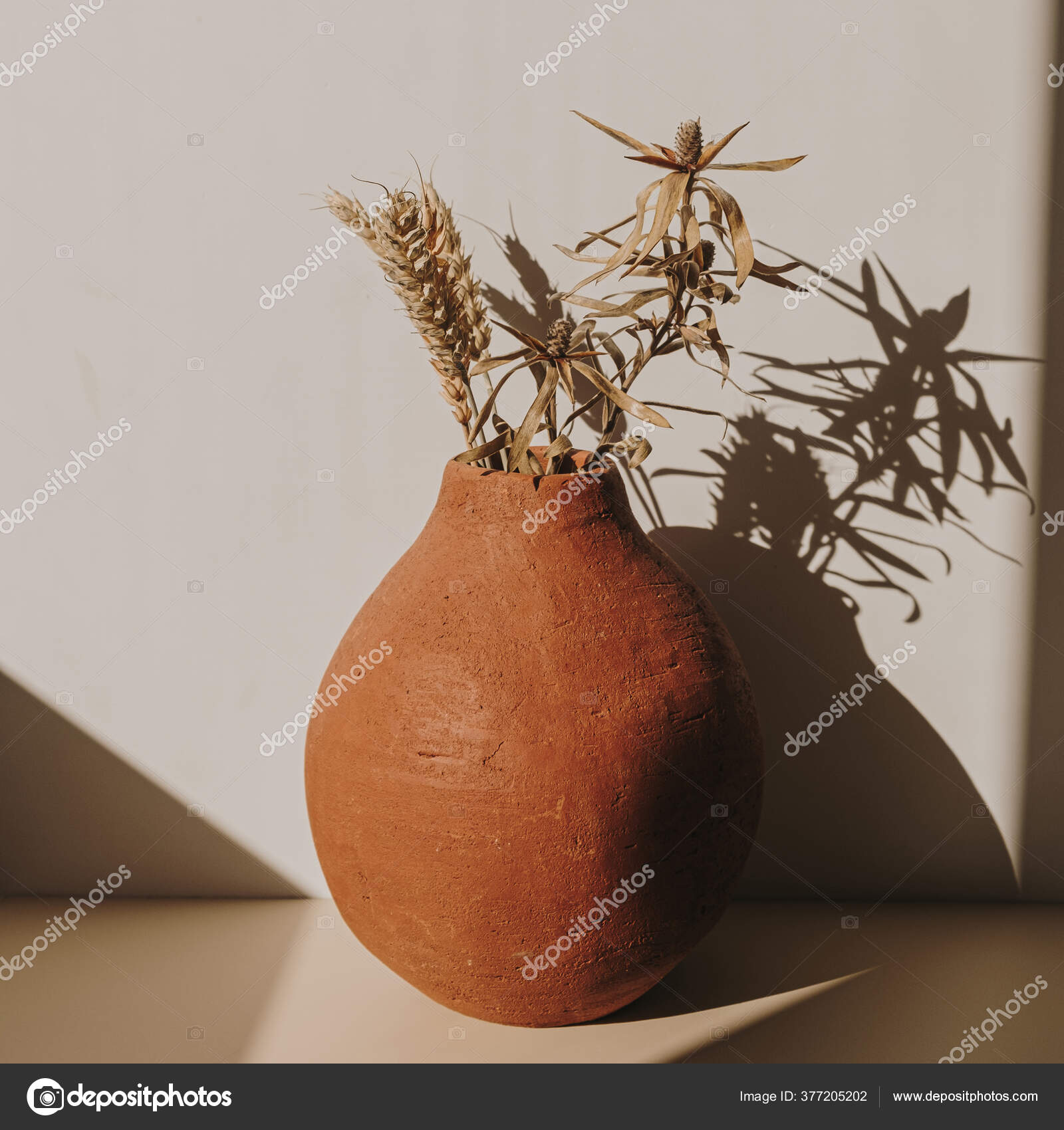 Roter Handgemachter Ton Blumentopf Mit Trockenem Weizen Roggen Bouquet  Schatten - Stockfotografie: lizenzfreie Fotos © maximleshkovich 377205202