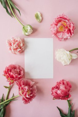 Pembe arka planda pembe ve beyaz şakayık lale çiçeklerinden oluşan yuvarlak çerçeveli boş kağıt kağıtlar. Düz yatış, üst görünüm çiçek modeli ve boş kopya alanı şablonu