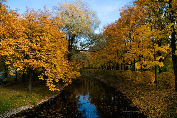 Gold autumn nature. Awesome landscape