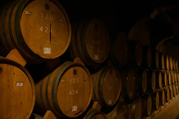 Cognac Barrels Cellar — Stock Photo, Image