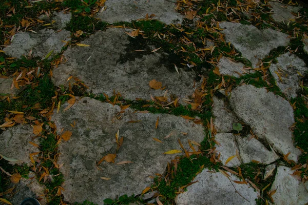 Old Stone Paving Stones Sprouted Grass — Stock Photo, Image