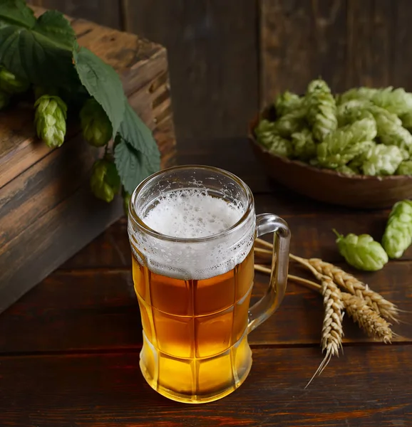 glass of beer with hop and spikelets