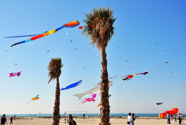Dubai Uluslararası Uçurtma Şenliği