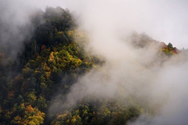 Sonbahar Mestia, Gürcistan ülkenin