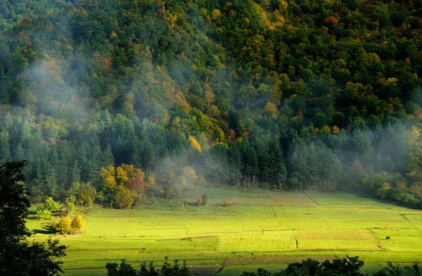 Herfst van Mestia, Georgië land — Stockfoto