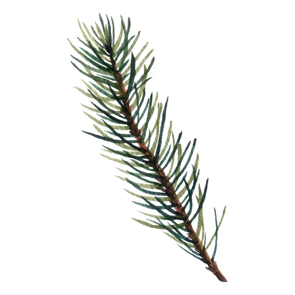 Sulu Boya Noel ağacı dalları.