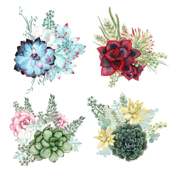 Suluboya besteleri sulu çiçeklerden yapılmış bir dizi.