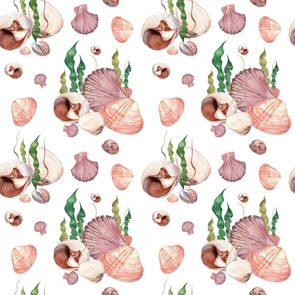 Sulu Boya Dikişsiz desen deniz kabukları.