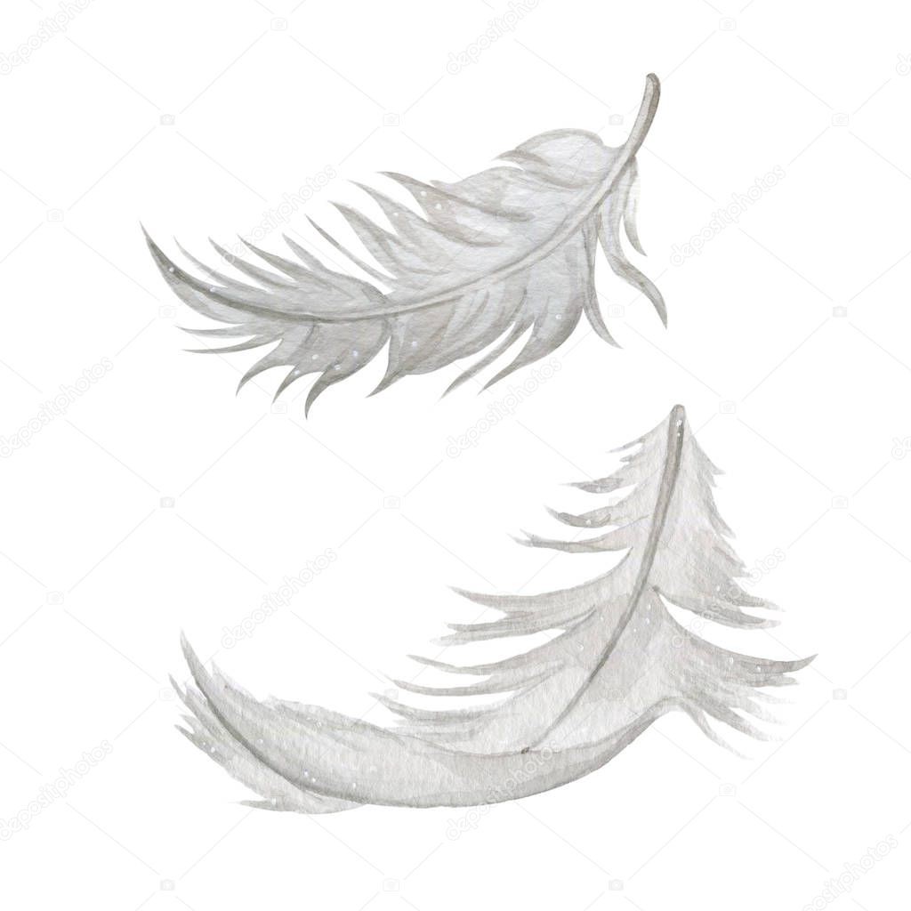 Watercolor illustration of soft white feathers in boho style