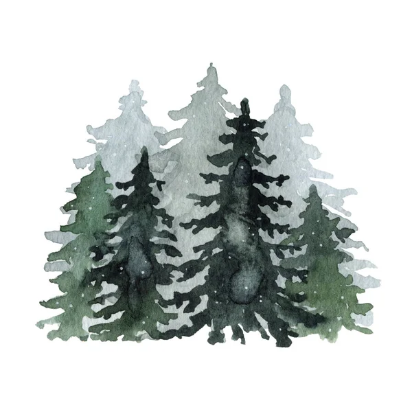 Suluboya kış kar manzarası köknar ağaçları ile yeşil orman