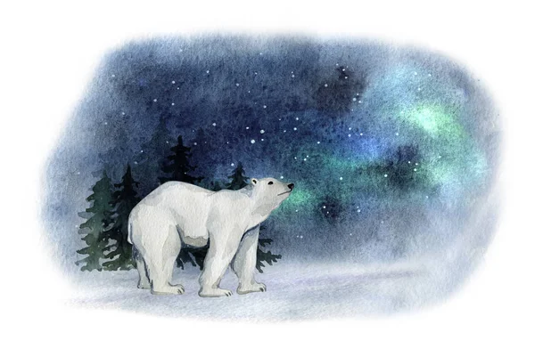 Watercolor cute beruang kutub putih di utara — Stok Foto