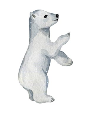 Kuzeyde tatlı beyaz kutup ayıları suluboya