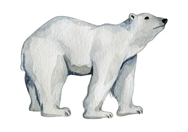 Akwarela słodkie białe niedźwiedzie polarne na północy — Zdjęcie stockowe
