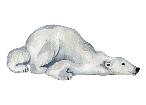 Акварель милі білі полярні ведмеді на півночі — стокове фото