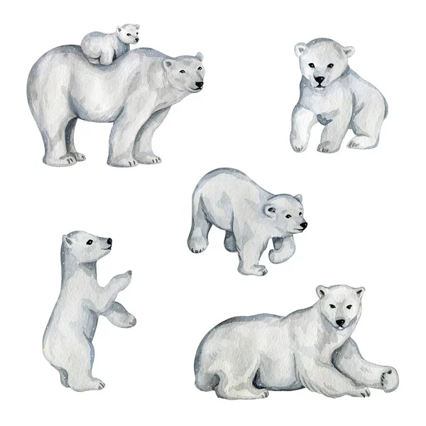 Akvarel roztomilý bílý lední medvědi na severu — Stock fotografie