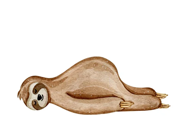 Suluboya el beyaz arka planda izole edilmiş tatlı bir tembel hayvan çizmiş.
