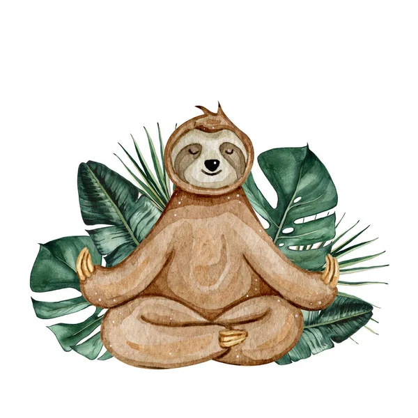 Watercolor hand drawn cute sloth with tropical leaves isolated on white background. — Stock Photo, Image