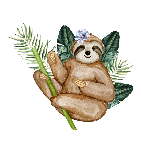 Watercolor hand drawn cute sloth with tropical leaves isolated on white background — Stock Photo, Image