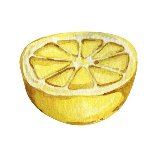 Akvarel ilustrace žluté čerstvé citrusy citrusy — Stock fotografie