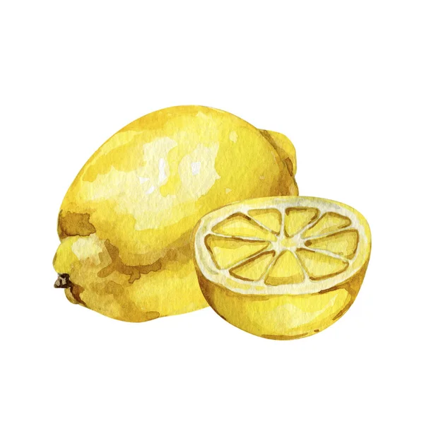 Ilustración acuarela de limones amarillos frescos cítricos —  Fotos de Stock