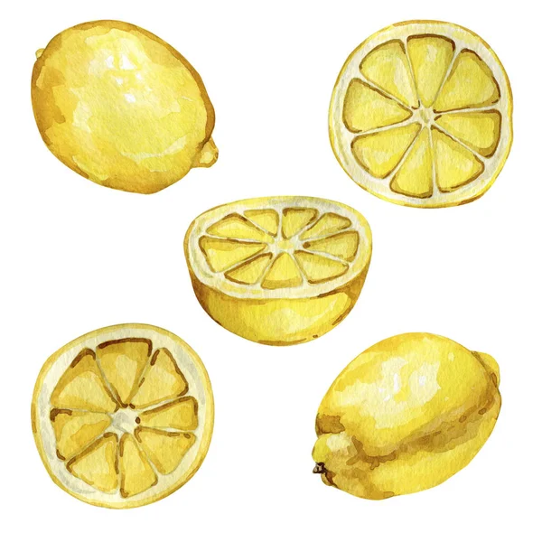 Ilustración acuarela de limones amarillos frescos cítricos —  Fotos de Stock