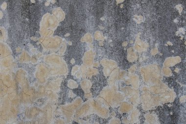 Çatlamış eski duvar, çatlak arka plan, eski duvar, terk edilmiş w