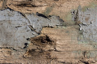 Eski ahşap dokular, eski kaba ahşap desenler.