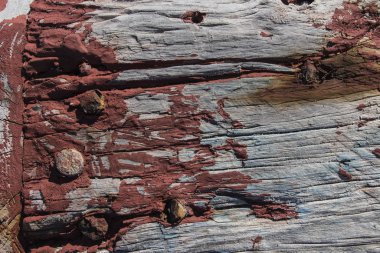 Kaliteli ahşap arka plan, kabuk soyma boya, eski kaba yatay