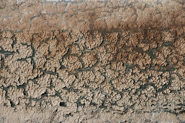 Старый деревянный фон, потрескавшийся деревянный фон стены краски — стоковое фото
