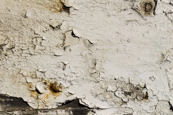 Ahşap dokular eski boya izleri, ahşap yaban domuzu üzerinde eski beyaz boya.