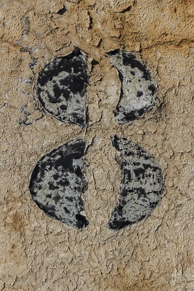 Numer 8, czarna liczba malowana na białym i brązowym tle z drewna — Zdjęcie stockowe