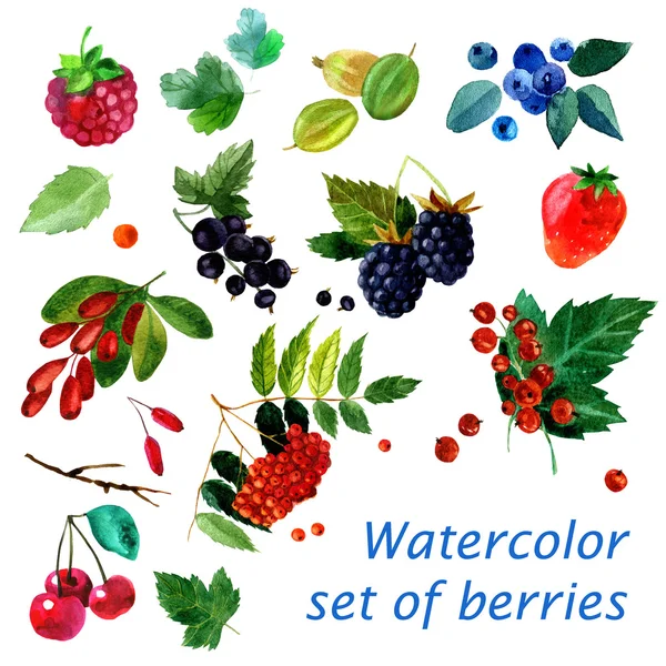 異なる果実画像のセットの水彩イラスト。透明水彩さまざまな色合い。ラベル、背景、カード、パターン. — ストック写真