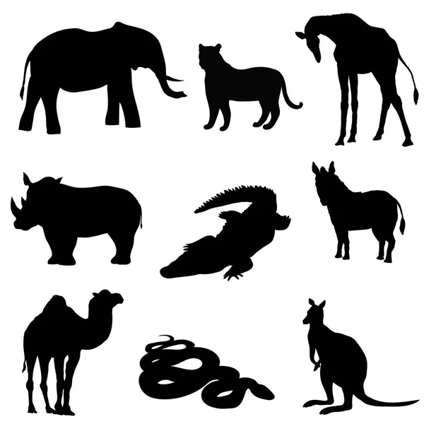 Vectorillustratie. Afbeelding van de rhino kangoeroe, olifant, giraffe, zebra, slang, krokodil, kameel, tijger een zwarte silhouet. — Stockvector