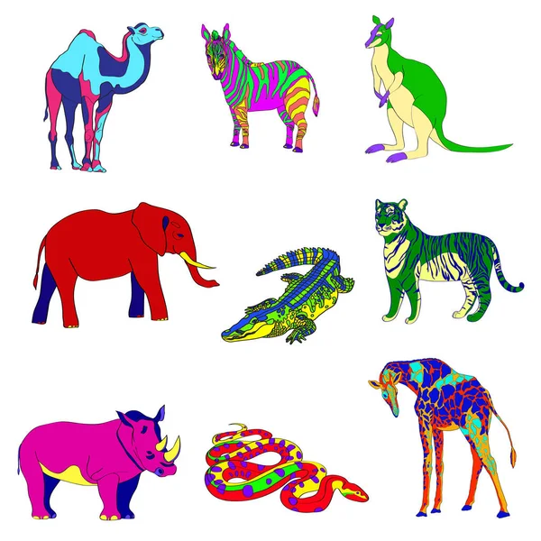 Vectorillustratie. Beeld rhino kangoeroe, giraffe, olifant, zebra, slang, krokodil, camel, tijger verschillende heldere kleuren. — Stockvector