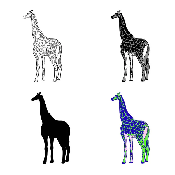 Vectorillustratie van een afbeelding van een giraffe. Zwart-wit lijn, zwarte silhouet, zwart-wit en grijs plek. Veelkleurige afbeelding — Stockvector