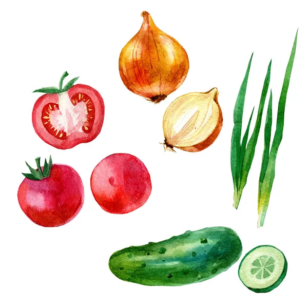 Акварельная иллюстрация, набор, изображение овощей, ломтиков помидоров и помидоров, лука, огурцов и огурцов — стоковое фото