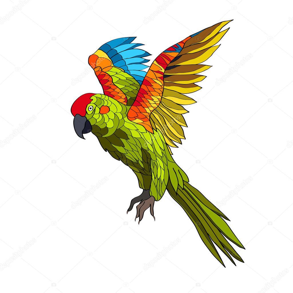 Vector illustration. A flying parrot with yellow, red and turquoise wings