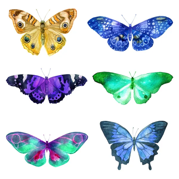 Conjunto de borboletas transparentes aquarela em flores azuis, ocre e lilás em um fundo branco — Fotografia de Stock