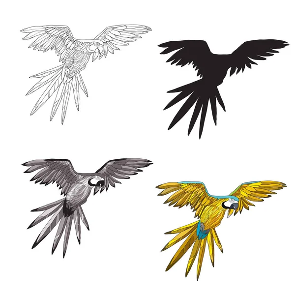 Vektorové ilustrace. Létající papoušek s křídly žlutá a tyrkysová. Černá a bílá linie, silueta, černé a bílé, šedé a barevný obrázek — Stockový vektor