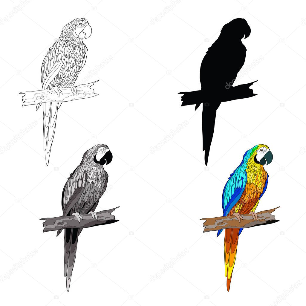 Vector illustration. Sitting on a branch parrot with turquoise wings. Black and white line, silhouette, black and white, gray and color image